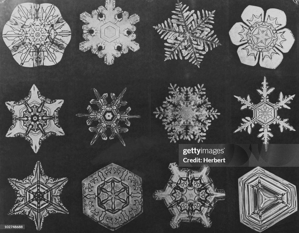 Twelve Snow Crystals