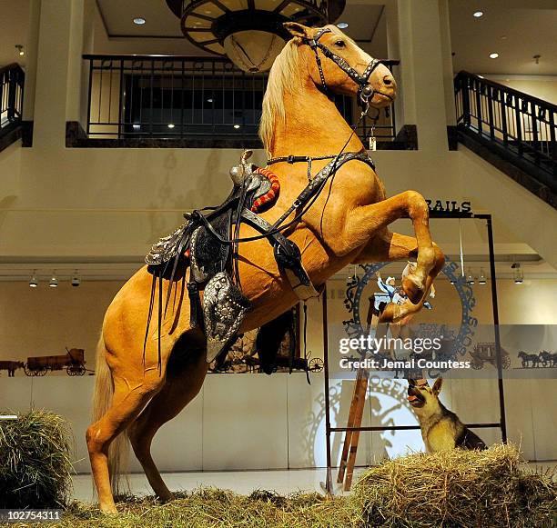 Roy Trigger Rearing Trigger Horse Fotografías e imágenes de stock - Getty Images
