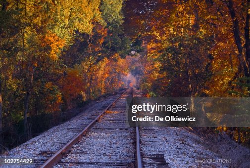 Railroad tracks through autumn Railroad tracks through autumn
