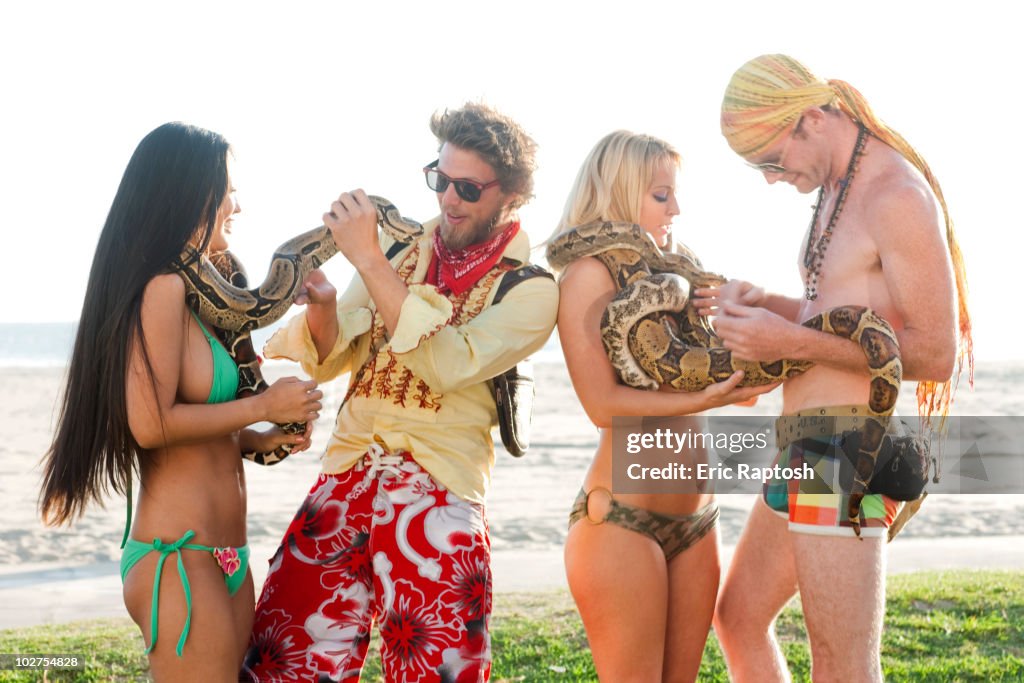 People looking at boa constrictors on beach