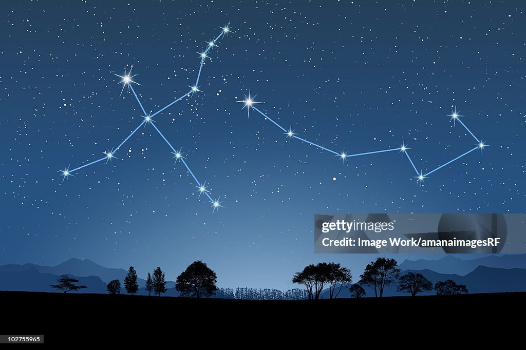 Image of Astrology signs, (Cygnus, Ursa Minor)