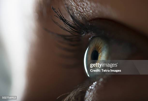 woman's eye - eyeball stock pictures, royalty-free photos & images