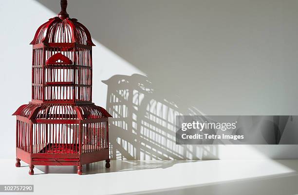 red bird cage - bird cage stock pictures, royalty-free photos & images