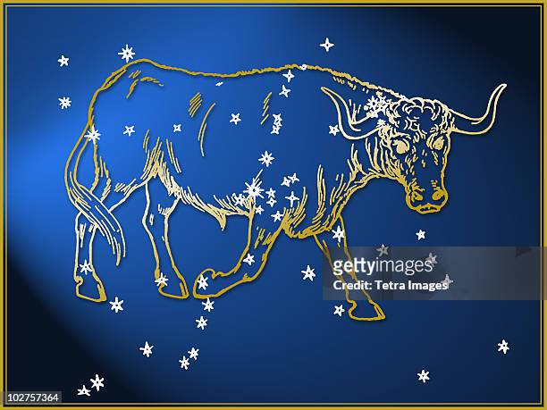 taurus astrological sign - signe du taureau photos et images de collection