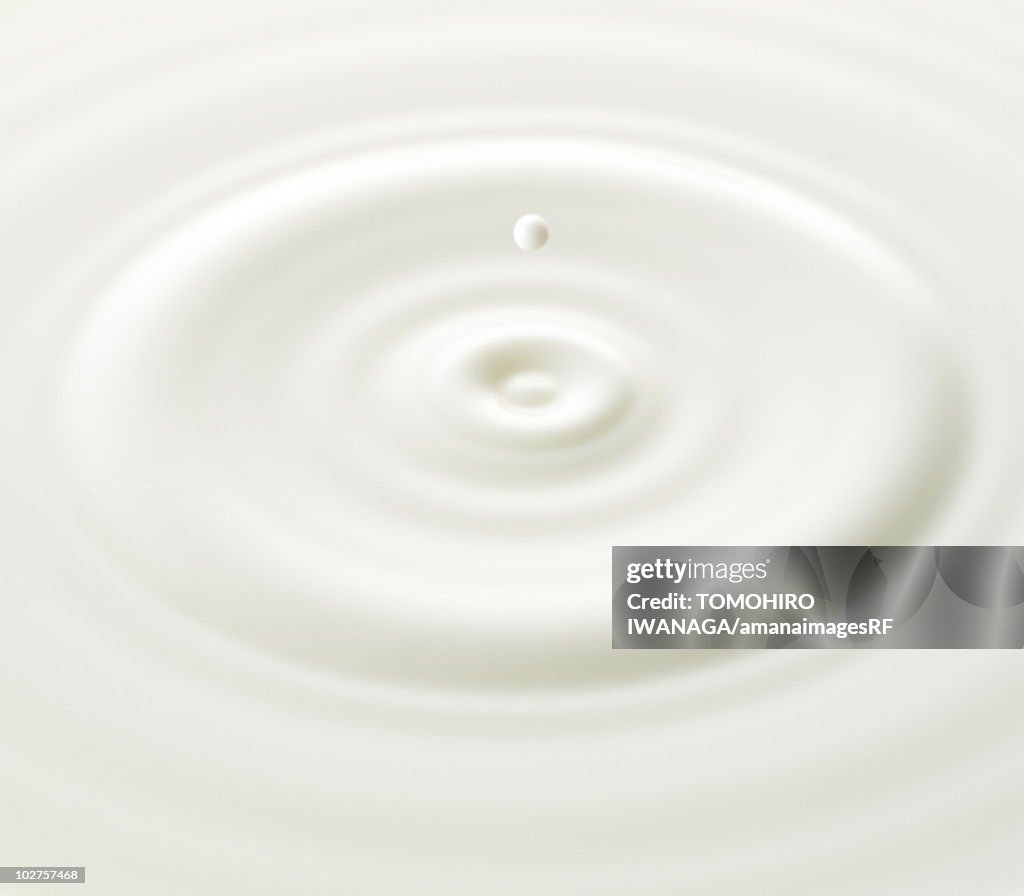 Milk drop, close up, full frame