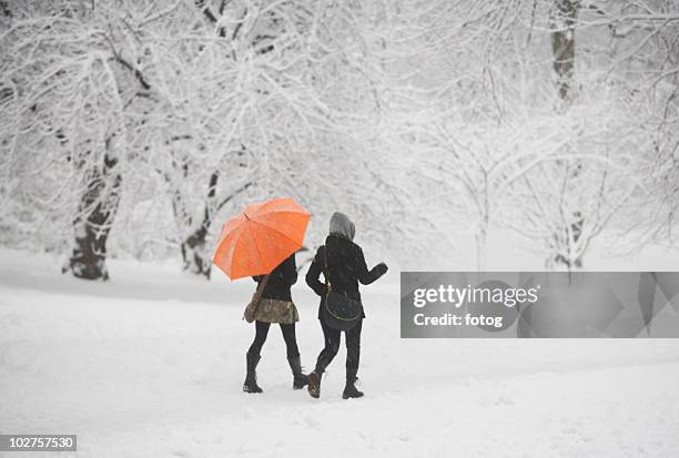 two girls walking through snowy park - central park winter stock pictures, royalty-free photos & images