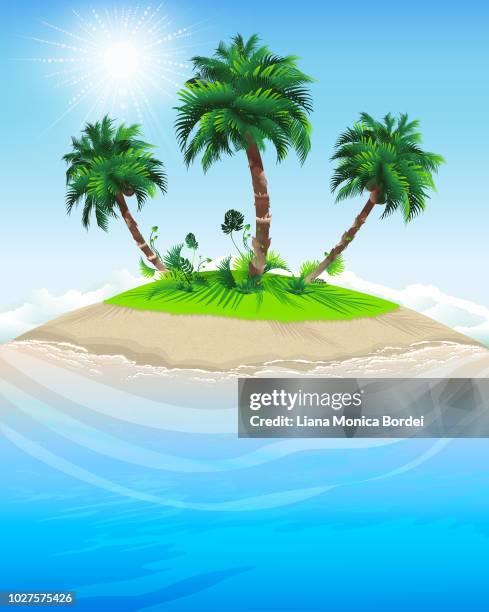 paradise island - lord howe island stock illustrations