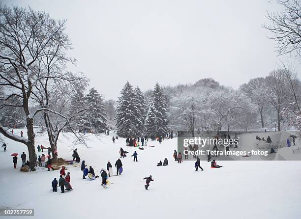 children sledding in central park - central park snow stock pictures, royalty-free photos & images