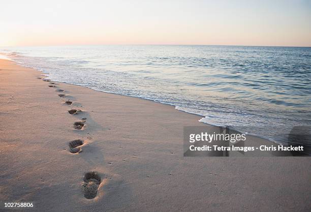 footprints in the sand - footprint stock pictures, royalty-free photos & images