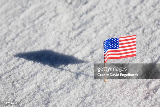 american flag in the snow - mini moon 個照片及圖片檔