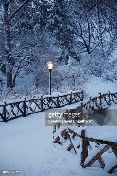 central park in winter - central park winter ストックフォトと画像