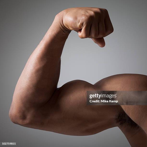 flexed muscular arm - bicep stock-fotos und bilder