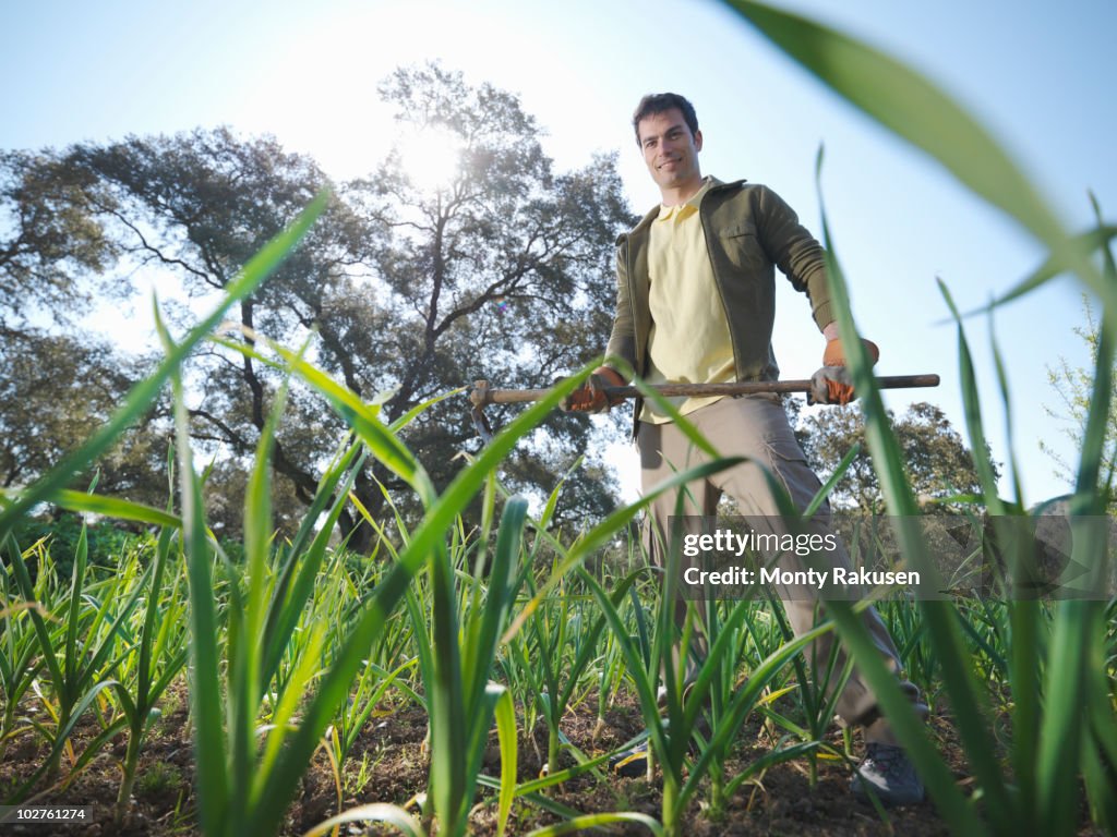 Man holding a ... in garlic field