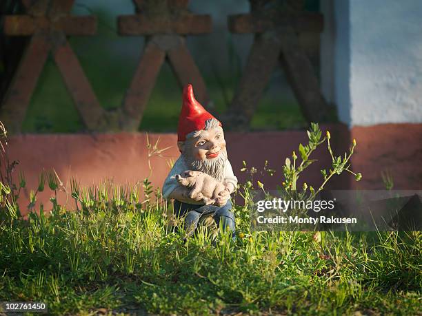 garden gnome holding piglet - gnomo da giardino foto e immagini stock