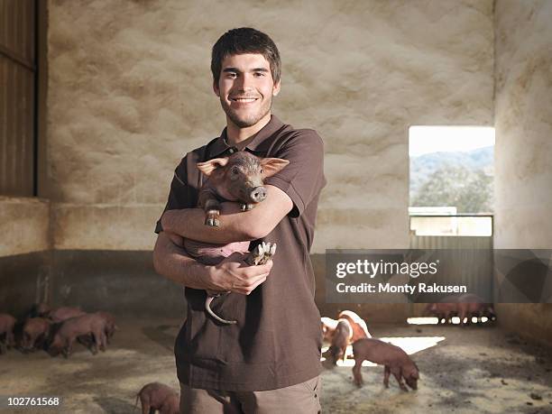 man holding a piglet in pen - schweinestall stock-fotos und bilder