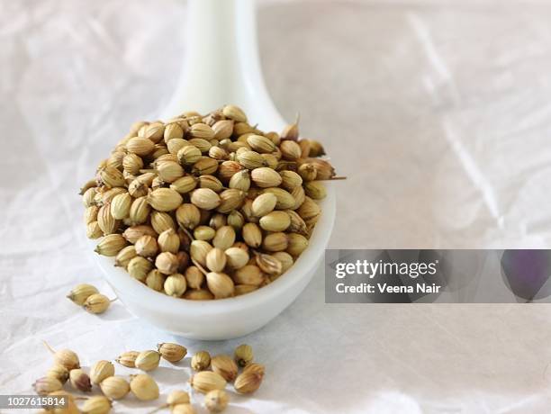 coriander seeds in a ceramic spoon on white background - semilla de coriandro fotografías e imágenes de stock