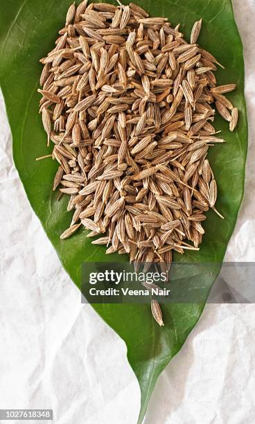 cumin seeds in a green leaf on white background - cominho imagens e fotografias de stock