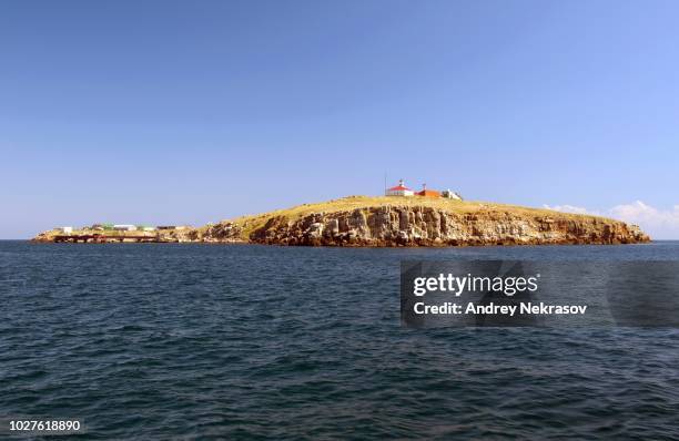 zmiinyi island, snake island, black sea, odessa, ukraine, eastern europe - ijsland stock pictures, royalty-free photos & images