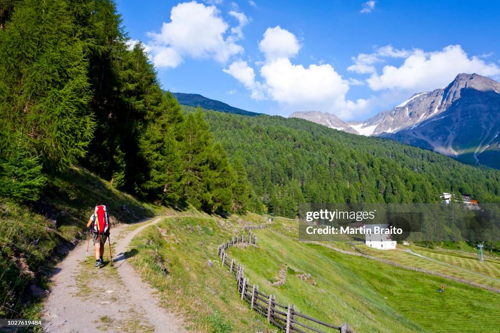 Climber during the ascent to Hohen Angulus Mountain, Ortler area, looking towards Vertainspitze Mountain, Alto Adige, Italy