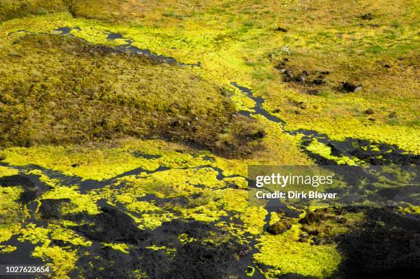 moss-covered stream, landscape near maelifell, highland, iceland - maelifell stock pictures, royalty-free photos & images