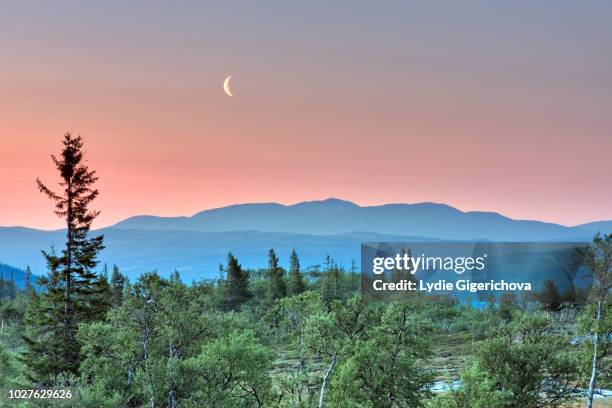 36 Skarvan And Roltdalen National Park Stock Photos, High-Res Pictures ...