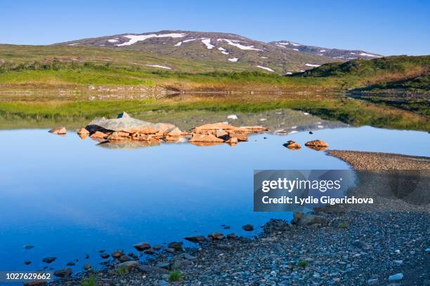 36 Skarvan And Roltdalen National Park Stock Photos, High-Res Pictures ...