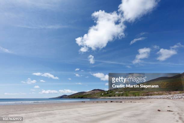 inch beach, dingle bay, dingle peninsula, county kerry, ireland, british isles - inch stockfoto's en -beelden