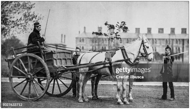 ilustraciones, imágenes clip art, dibujos animados e iconos de stock de marina y ejército antiguos fotografías históricas - carruaje