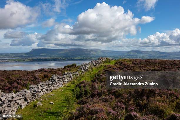 sligo - sligo stock pictures, royalty-free photos & images