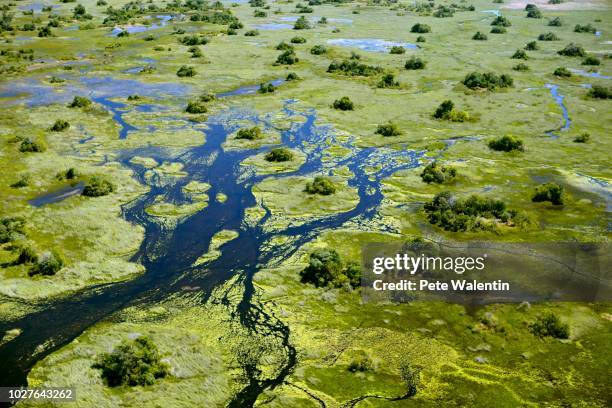 aerial view, okavango delta, botswana - okavango delta stock pictures, royalty-free photos & images