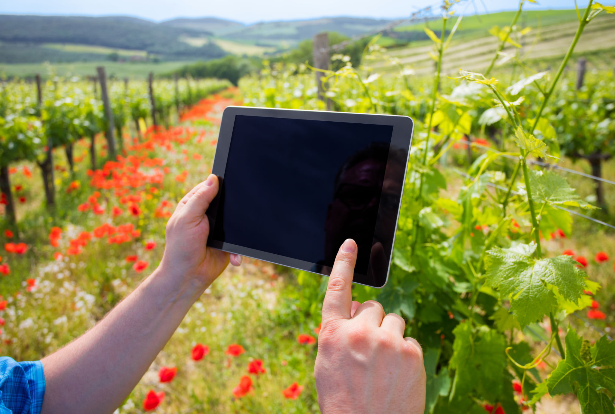 winemakers innovation