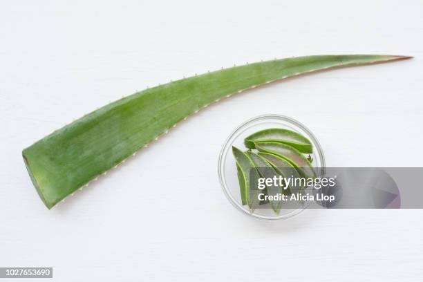 aloe top view - aloe slices stock pictures, royalty-free photos & images