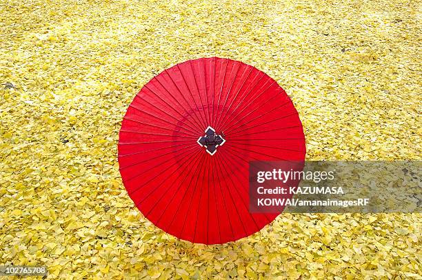 paper umbrella on fallen leaves - papierschirm stock-fotos und bilder
