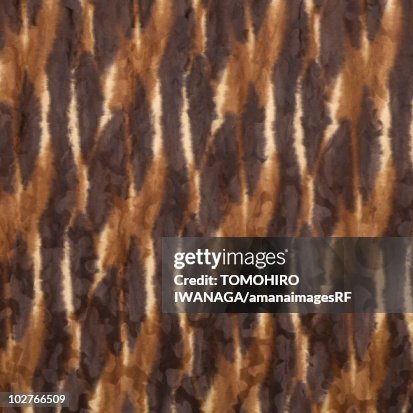 Leopard print background Leopard print background