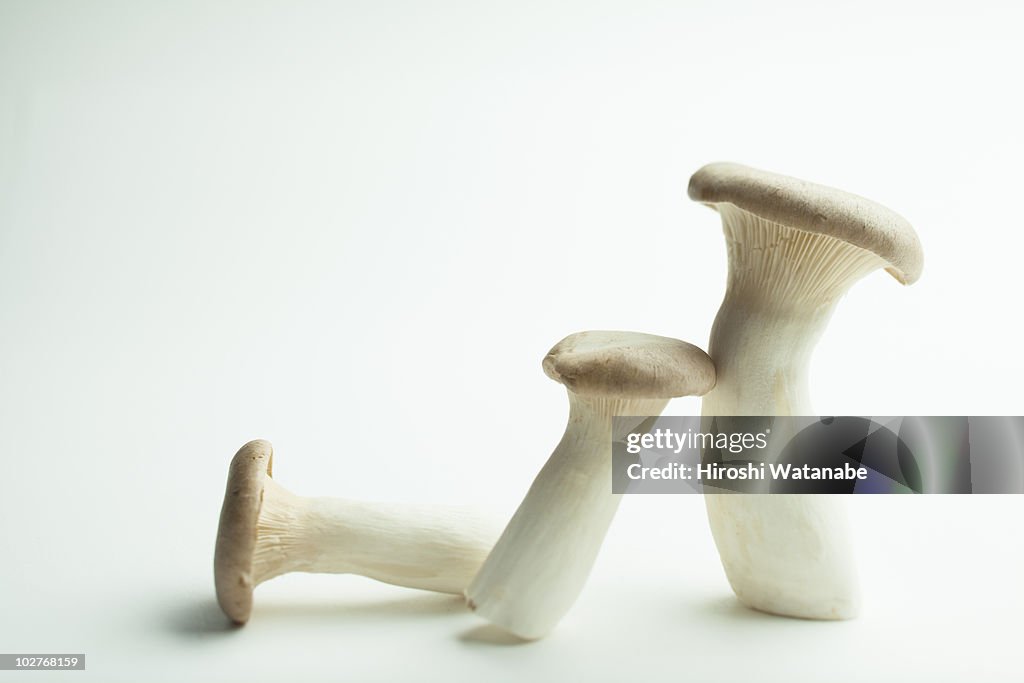 King oyster mushrooms