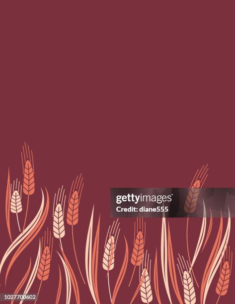 wheat harvest background with copy space - crop stock illustrations