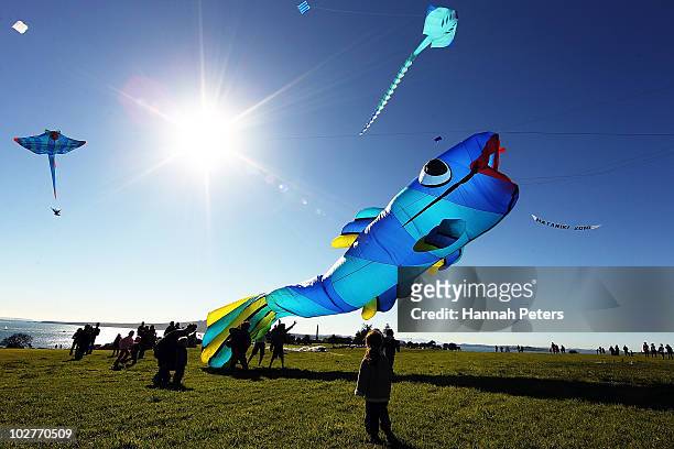Huge kites are launched high above Bastion Point as part of Matariki Festival celebrations on July 10, 2010 in Auckland, New Zealand. Matariki is the...