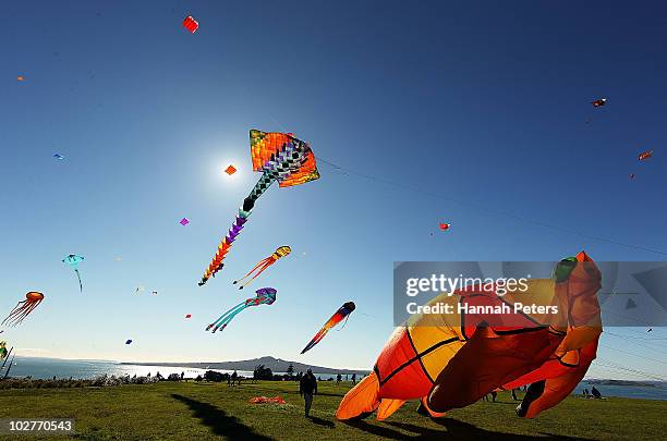 Huge kites are launched high above Bastion Point as part of Matariki Festival celebrations on July 10, 2010 in Auckland, New Zealand. Matariki is the...