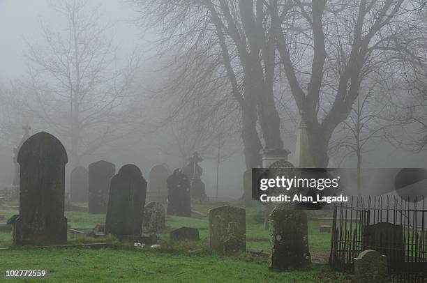 foggy graveyard,jersey. - cemetery stock pictures, royalty-free photos & images