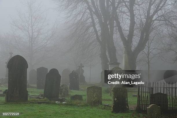 foggy graveyard,jersey. - spooky graveyard stock pictures, royalty-free photos & images