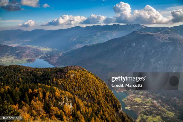 bohinj slovenia - vogel slovenia stock pictures, royalty-free photos & images