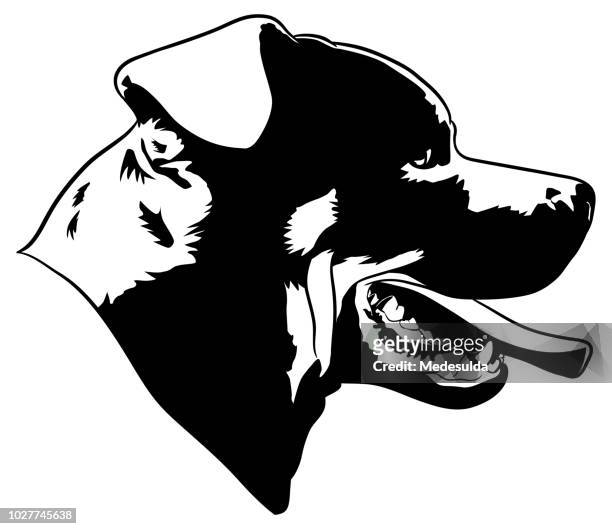 768 Ilustraciones de Rottweiler - Getty Images