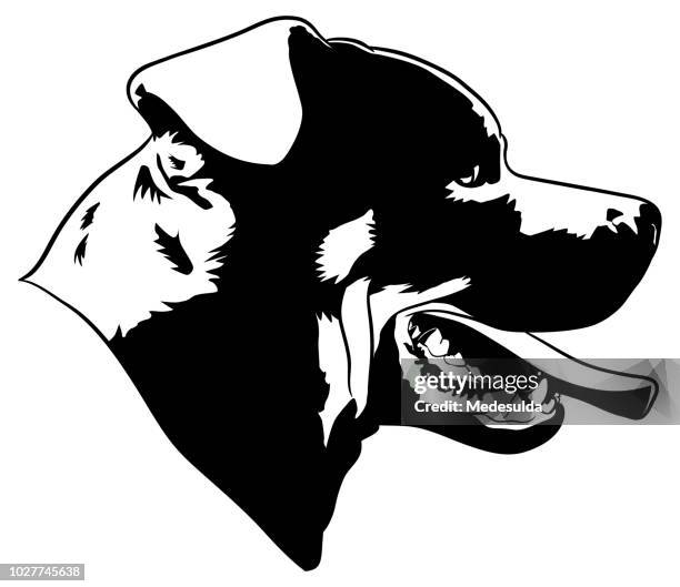 ilustraciones, imágenes clip art, dibujos animados e iconos de stock de vector símbolo de perro rottweiler - rottweiler