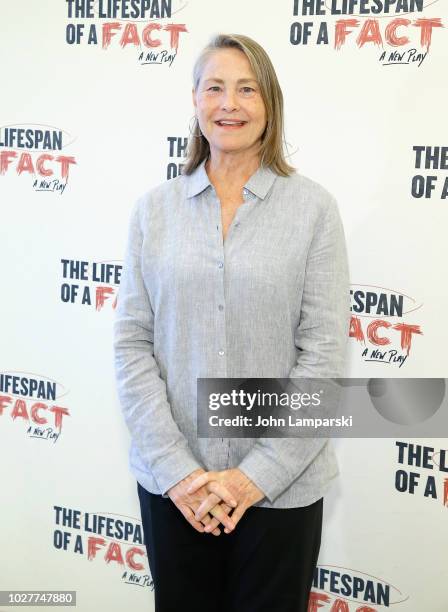 Cherry Jones attends "The Lifespan Of A Fact" meet & greet at The New 42nd Street Studios on September 6, 2018 in New York City.
