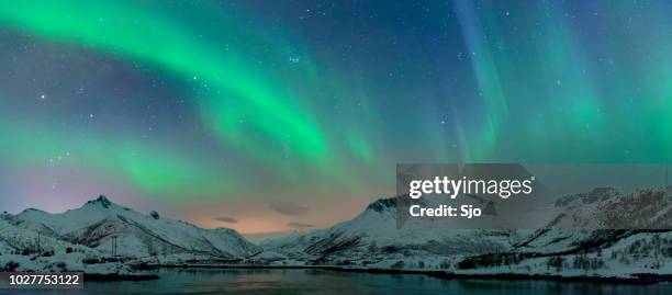 northern lights over the lofoten islands in norway - aurora borealis stock pictures, royalty-free photos & images