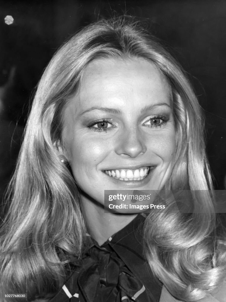 Chetr Ladd Cheryl Ladd 70s 70s Cheryl Ladd Vintage Iron On T Shirt Charlies