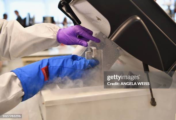 Hand Pulverization 55 Pulverization Stock Photos, High-Res Pictures, and Images - Getty Images