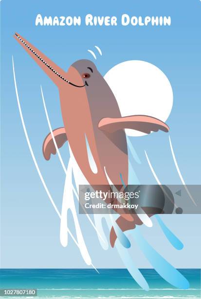 stockillustraties, clipart, cartoons en iconen met amazone rivier dolfijn - boto river dolphin