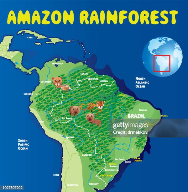 Cartoon Map Of Brazil High-Res Vector Graphic
