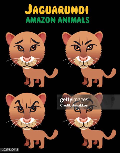 Jaguarundi High-Res Vector Graphic